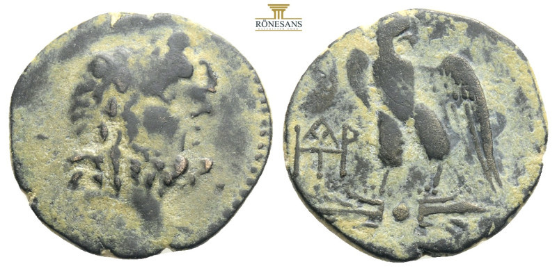 KINGS of GALATIA. Deiotaros. Circa 62-40 BC. Æ….Laureate head of Zeus right / Ea...