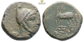 Pontos, Amisos Æ24. Circa 100-95 or 80-70 BC. Head of Perseus right, wearing helmet with griffin head. / AΜΙ-ΣΟΥ, below Pegasus drinking left. SNG Sta...