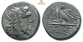 PONTOS.Amisos.Mithradates VI.(Circa 85-65 B)C.Ae.

Obv : Laureate head of Zeus right.

Rev : AMIΣOY.
Eagle standing left on thunderbolt, wings open, h...