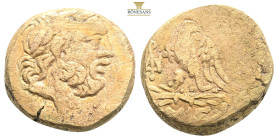 PONTOS.Amisos.Mithradates VI.(Circa 85-65 B)C.Ae.

Obv : Laureate head of Zeus right.

Rev : AMIΣOY.
Eagle standing left on thunderbolt, wings open, h...