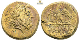 PONTOS.Amisos.Mithradates VI.(Circa 85-65 B)C.Ae.

Obv : Laureate head of Zeus right.

Rev : AMIΣOY.
Eagle standing left on thunderbolt, wings open, h...