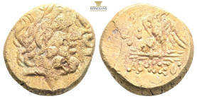 PONTOS.Amisos.Mithradates VI.(Circa 85-65 B)C.Ae.

Obv : Laureate head of Zeus right.

Rev : AMIΣOY.
Eagle standing left on thunderbolt, wings open, h...