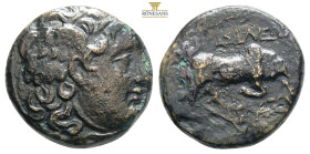 Seleukid Kings of Syria, Seleukos I Nikator (312-281 BC) AE 280s BC Seleucia II.
Obv: Laureate head of Apollo right.
Rev: BAΣΙΛΕΩΣ ΣEΛEYKOY, Bull butt...