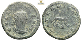 Gallienus BI Antoninianus.
Gallienus BI Antoninianus. Antioch, AD 264-265. GALLIENVS AVG, radiate and cuirassed bust right / AETERNITAS AVG, she-wolf ...