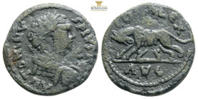MYSIA, Parium. Caracalla. AD 198-217. Æ ANTONIN-VS PIVS AV, laureate, draped, and cuirassed bust right / C G I H PA-R,
she-wolf standing right, head l...