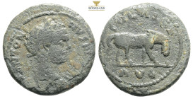 TROAS, Alexandria Troas. Caracalla. AD 198-217. Æ Laureate head right / Grazing horse right. Bellinger A306 var. (bust type); SNG München 87. Near EF,...