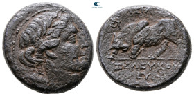 Seleukid Kingdom. Antioch on the Orontes. Seleukos II Kallinikos 246-226 BC. Bronze Æ