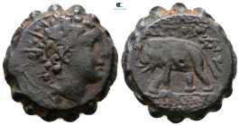 Seleukid Kingdom. Antioch on the Orontes. Antiochos VI Dionysos 144-142 BC. Serrate Æ