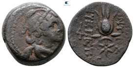 Seleukid Kingdom. Antioch on the Orontes. Antiochos VII Euergetes 138-129 BC. Bronze Æ