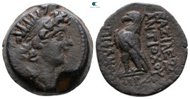 Seleukid Kingdom. Antioch on the Orontes. Antiochos VIII Epiphanes Grypos 121-97 BC. Bronze Æ