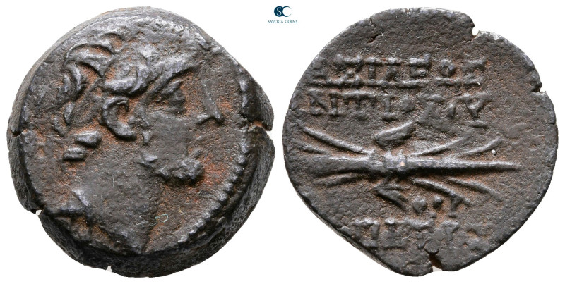 Seleukid Kingdom. Antioch on the Orontes. Antiochos IX Philopator (Kyzikenos) 11...