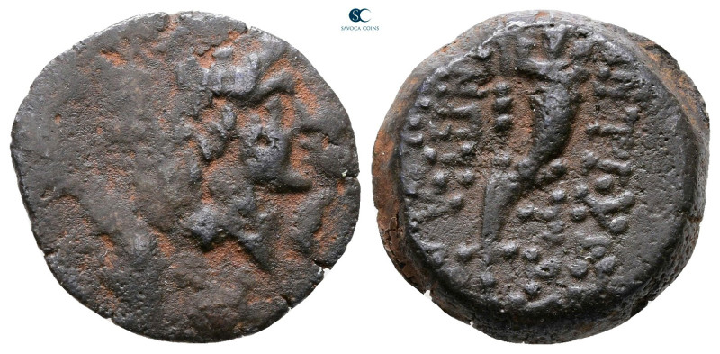 Seleukid Kingdom. Antioch on the Orontes. Antiochos IX Philopator (Kyzikenos) 11...