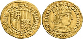 Monete di zecche italiane
Napoli 
Ferdinando I d’Aragona, 1458-1494.  Ducato prima emissione 1458-1462,  AV 3,46 g.  FERDINANDVS D G R S IV  Stemma ...