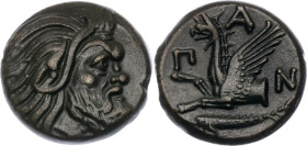 Ancient Greece Pantikapaion Tetrahalk 400 - 300 BC