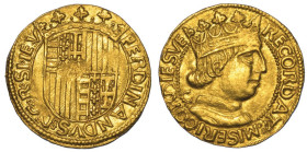 NAPOLI. FERDINANDO I D'ARAGONA, 1458-1494., Ducato (emissioni dal 1458 al 1462).