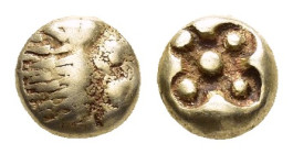 IONIA. Miletos. (Circa 600-550 BC).EL 1/12 Stater.

Obv : Head and forepaw of lion right.

Rev : Stellate pattern within conforming incuse.
SNG Kayhan...