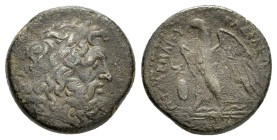 PTOLEMAIC KINGS of EGYPT. Ptolemy II Philadelphos (285-246 BC).Ptolemaic mint in Sicily.Ae.

Obv : Laureate head of Zeus right.

Rev : ΠΤΟΛΕΜΑΙΟΥ ...