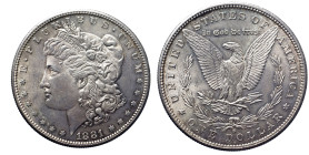 USA Repubblica Federale (1789 - ) Dollar 1881 S San Francisco KM110 AG In Slab NGC MS 64

MS 64