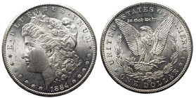 USA Repubblica Federale (1789 - ) Dollar 1884 CC Carson City KM110 AG In Slab NGC MS 63

MS 63