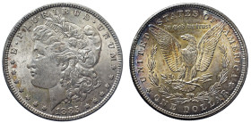 USA Repubblica Federale (1789 - ) Dollar 1885 Philadelphia KM110 AG In Slab NGC MS 62

MS 62