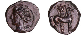 Siculo-Puniques - Carthage - Bronze (300 av. J.-C.)