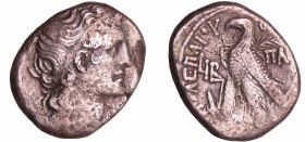 Royaume Lagide - Ptolémée XII Neos Dionysos (80-58 av. J.-C.) - Tétradrachme (48 av. J.C., Paphos)