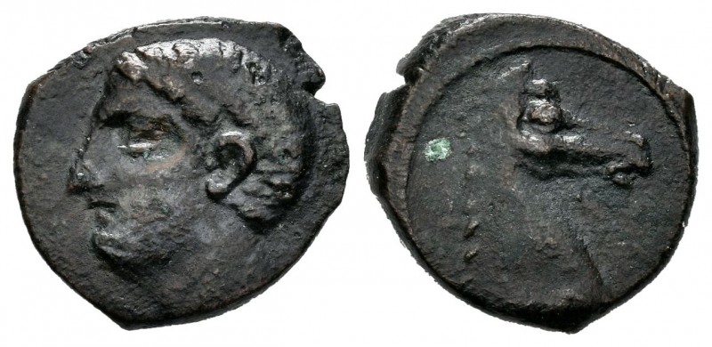 Cartagonova. 1/4 calco. 220-205 a.C. (Abh-554). Anv.: Cabeza masculina a izquier...