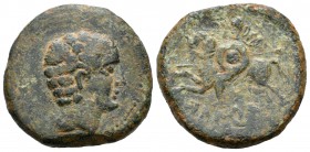 Icalcuscen. As. 120-20 a.C. Iniesta (Cuenca). (C-3). Anv.:  Cabeza masculina a derecha. Rev.:  Jinete lancero a izquierda con escudo y clámide, debajo...