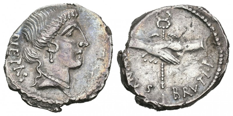 Postumia. Denario. 48 a.C. Roma. (Ffc-1075). (Craw-450/2). (Cal-1219). Anv.: cab...