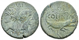 Augusto y Agripa. As. 10-14 d.C. Colonia Nemausus. (Spink-1731). (Ric-159). Anv.: Bustos opuestos de Augusto diademado y Agripa desnudo. Rev.: COL NEM...