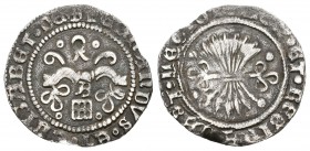 Fernando e Isabel (1474-1504). 1/2 real. Segovia. A. (Cal-457 variante). Ag. 1,44 g. Con A gótica (arte que sugiere una B) sobre acueducto de tres arc...