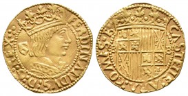 Fernando II (1479-1516). Principado. Barcelona. (Cal-38). (Tau-341). Anv.: FERNANDVS:D:G.REX (grupo de puntos). Rev.: CASTELLE:ARA:COMES:B. Escudo de ...