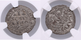 Dahlen, Poland Schilling 1572 - NGC AU DETAILS
Environmental damage. An attractive exemplar with mint luster. Rare state of preservation. GUM 636.