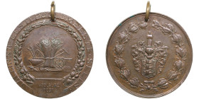 Estonia medal Estonian Agricultural Society in Tallinn ND - for Diligence
64.69g. 54mm. 