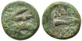 KINGS OF THRACE. Adaios. Circa 275-225 BC. Ae (bronze, 4.20 g, 14 mm). Head of a boar to right. Rev. AΔAI Spearhead right; below, monograms. HGC 3.2, ...