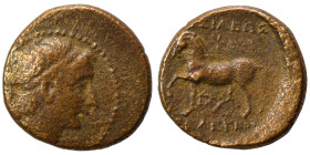 SELEUKID KINGS of SYRIA. Seleukos II Kallinikos, 246-225 BC. Ae (bronze, 3.59 g, 16 mm). Diademed head to right. Rev. BAΣΙΛΕΩΣ ΣΕΛΕΥΚΟΥ Horse prancing...