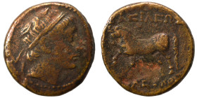 SELEUKID KINGS of SYRIA. Seleukos II Kallinikos, 246-225 BC. Ae (bronze, 3.66 g, 17 mm). Diademed head to right. Rev. BAΣΙΛΕΩΣ ΣΕΛΕΥΚΟΥ Horse prancing...