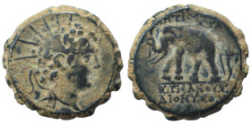 SELEUKID KINGS of SYRIA. Antiochos VI Dionysos, 144-142 BC. Ae Serrate (bronze, 7.23 g, 20 mm), Antioch on the Orontes. Radiate and diademed head righ...