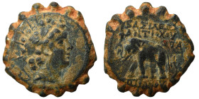 SELEUKID KINGS of SYRIA. Antiochos VI Dionysos, 144-142 BC. Ae Serrate (bronze, 8.12 g, 22 mm), Antioch on the Orontes. Radiate and diademed head righ...