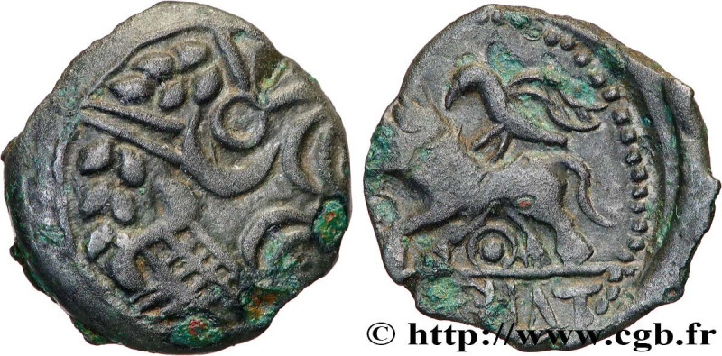 GALLIA - CARNUTES (Beauce area)
Type : Bronze COIIAT, lion à gauche 
Date : Ier ...