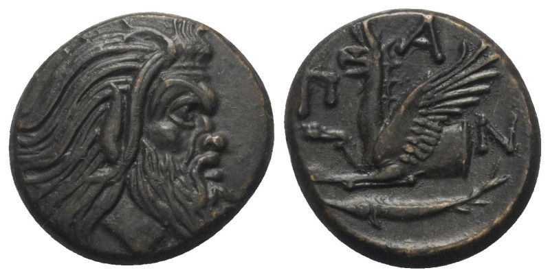 Taurischer Chersones. Pantikapaion.

 Bronze. Ca. 325 - 310 v. Chr.
Vs: Kopf ...