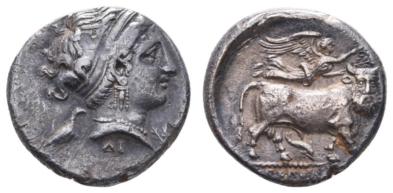 Antike Griechen
Kampanien Neapolis, Nomos (7,25g), ca. 320-280 v. Chr. Av: Nymp...