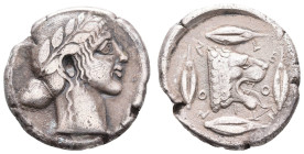 Antike Griechen
Sizilien Leontinoi, Tetradrachme (16,70g), 450 -440 v. Chr. Av: Belorbeerter Apollokopf nach rechts. Rev: Löwenkopf nach rechts, umge...