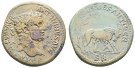 Antike Römer
Münzen der Römischen Provinzen Pisidien, Antiochia, Æ (25,21g), Caracalla, 198-217. Av: Büste nach rechts, darum Umschrift. Rev: Wolf na...