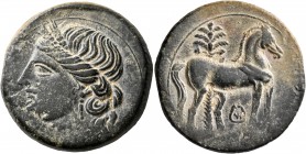 CARTHAGE. Second Punic War. Circa 220-215 BC. Trishekel (Bronze, 30 mm, 19.04 g, 12 h). Head of Tanit to left, wearing wreath of grain ears. Rev. Hors...