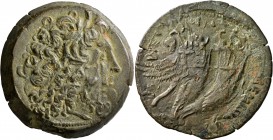 PTOLEMAIC KINGS OF EGYPT. Ptolemy VIII Euergetes II (Physcon), second reign, 145-116 BC. Drachm (Bronze, 44 mm, 55.97 g, 11 h), Kyrene. Diademed head ...