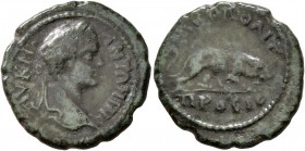 MOESIA INFERIOR. Nicopolis ad Istrum. Caracalla, 198-217. Hemiassarion (?) (Bronze, 18 mm, 3.32 g, 1 h). AY K M ANTΩNIN Laureate head of Caracalla to ...