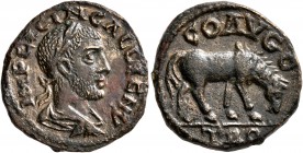 TROAS. Alexandria Troas. Gallienus, 253-268. 'As' (Orichalcum, 20 mm, 6.01 g, 1 h). IMP C LICIN GALLIENV Laureate, draped and cuirassed bust of Gallie...