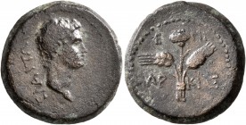 AEOLIS. Elaea. Augustus, 27 BC-AD 14. Assarion (Bronze, 19 mm, 6.50 g, 11 h), Markias, magistrate. EΛAITΩN Bare head of Augustus to right. Rev. EΠI / ...