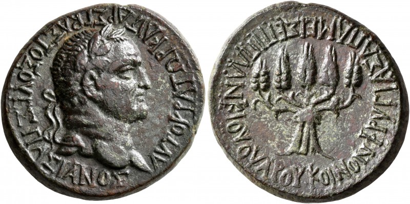 PHRYGIA. Apameia. Vespasian, 69-79. Diassarion (Bronze, 26 mm, 11.12 g, 12 h), P...